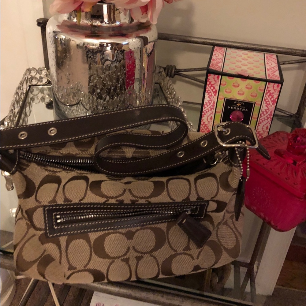 Coach small hobo? Bag